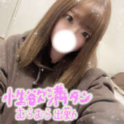 ヒメ日記 2026/03/17 09:12 投稿 じゅり Hip's-group越谷本店