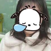 ヒメ日記 2026/01/06 09:38 投稿 飯島おとめ 五反田 必要以上のエステ（シンデレラグループ）