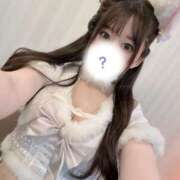 ヒメ日記 2025/12/01 19:21 投稿 うる JAPAN CLUB BUNNY LOUNGE