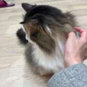 ヒメ日記 2025/12/07 15:29 投稿 坂本もえ 月の真珠-五反田-