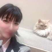 ヒメ日記 2025/12/07 17:29 投稿 坂本もえ 月の真珠-五反田-