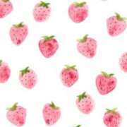 ヒメ日記 2025/12/23 13:27 投稿 まい 池袋しろパラ