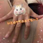 ヒメ日記 2026/01/30 15:22 投稿 かづき☆マジなドM美人 松戸人妻城