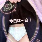 ヒメ日記 2026/02/10 13:10 投稿 かづき☆マジなドM美人 松戸人妻城