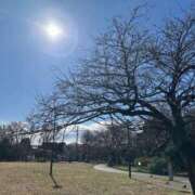 ヒメ日記 2026/01/26 14:45 投稿 綺良々（きらら） ビッグバード