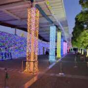 ヒメ日記 2026/01/30 07:40 投稿 綺良々（きらら） ビッグバード