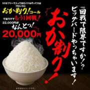 ヒメ日記 2026/02/13 07:04 投稿 綺良々（きらら） ビッグバード