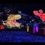 ヒメ日記 2026/02/23 21:34 投稿 綺良々（きらら） ビッグバード