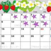 ヒメ日記 2026/03/02 21:04 投稿 綺良々（きらら） ビッグバード