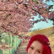 ヒメ日記 2026/03/09 08:24 投稿 綺良々（きらら） ビッグバード