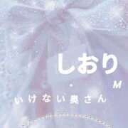 しおりさん 本日初出勤✨️ご予約ありがとうございます♡ いけない奥さん 十三店