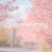 しおりさん ♡４月の出勤予定♡ いけない奥さん 十三店