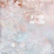 しおりさん 今日と今月のお約束♡ いけない奥さん 梅田店