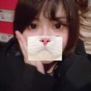 ヒメ日記 2025/11/29 07:45 投稿 ののか ぷるるん小町日本橋店