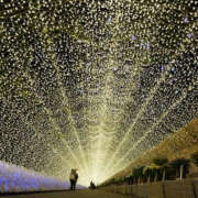 ヒメ日記 2025/12/15 13:10 投稿 のの 奥鉄オクテツ東京店（デリヘル市場）