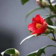 ヒメ日記 2026/01/20 10:36 投稿 りかこ 脱がされたい人妻茂原店