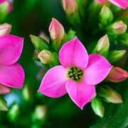 ヒメ日記 2026/02/03 09:53 投稿 りかこ 脱がされたい人妻茂原店