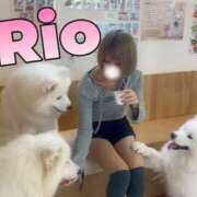 ヒメ日記 2025/12/09 00:11 投稿 りお ドキドキアロマ