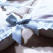 ヒメ日記 2025/12/21 06:32 投稿 ましろ The White