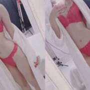 ヒメ日記 2026/02/20 13:37 投稿 せな Rose(大阪)