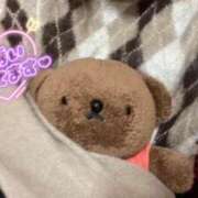 ヒメ日記 2026/02/05 03:33 投稿 松下【まつした】 ★無料オプション多数★成田若妻即即サークル【日本人専門店】