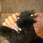 ヒメ日記 2026/01/21 23:20 投稿 ゆい My Essentials