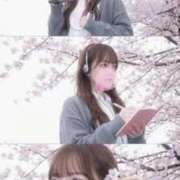 ヒメ日記 2026/04/07 16:13 投稿 ゆい My Essentials