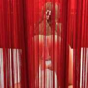 ヒメ日記 2026/04/07 23:51 投稿 ゆい My Essentials