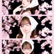 ヒメ日記 2026/04/13 00:41 投稿 ゆい My Essentials