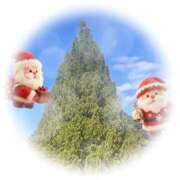 ヒメ日記 2025/12/24 09:07 投稿 くみこ 脱がされたい人妻茂原店