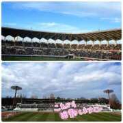 ヒメ日記 2026/01/13 07:24 投稿 くみこ 脱がされたい人妻茂原店