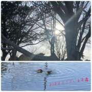 ヒメ日記 2026/02/12 09:31 投稿 くみこ 脱がされたい人妻茂原店