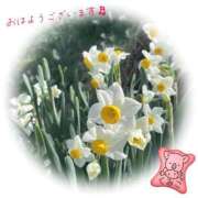 ヒメ日記 2026/02/27 09:15 投稿 くみこ 脱がされたい人妻茂原店