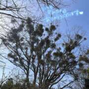 ヒメ日記 2026/03/10 09:17 投稿 くみこ 脱がされたい人妻茂原店