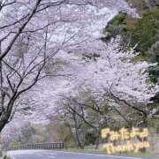 ヒメ日記 2026/03/31 09:29 投稿 くみこ 脱がされたい人妻茂原店