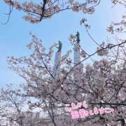 ヒメ日記 2026/04/01 09:28 投稿 くみこ 脱がされたい人妻茂原店