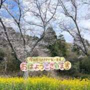 ヒメ日記 2026/04/03 09:50 投稿 くみこ 脱がされたい人妻茂原店