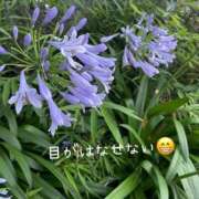 ヒメ日記 2026/07/04 09:24 投稿 くみこ 脱がされたい人妻茂原店