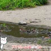 ヒメ日記 2026/07/12 16:53 投稿 くみこ 脱がされたい人妻茂原店