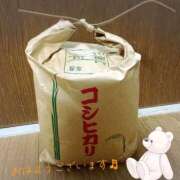 ヒメ日記 2026/09/14 07:13 投稿 くみこ 脱がされたい人妻茂原店