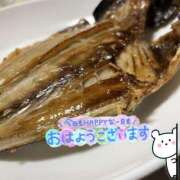 ヒメ日記 2026/10/16 07:57 投稿 くみこ 脱がされたい人妻茂原店