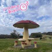 ヒメ日記 2026/10/19 06:55 投稿 くみこ 脱がされたい人妻茂原店