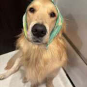 ヒメ日記 2025/12/30 12:05 投稿 まりん 華美人