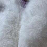 ヒメ日記 2025/12/31 01:24 投稿 まりん 華美人