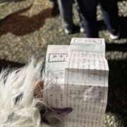 ヒメ日記 2026/01/01 18:22 投稿 まりん 華美人