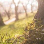 ヒメ日記 2026/03/06 08:08 投稿 しおり 脱がされたい人妻茂原店