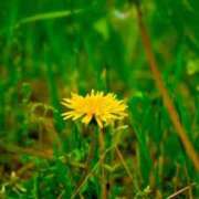 ヒメ日記 2026/04/12 13:18 投稿 しおり 脱がされたい人妻茂原店