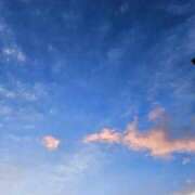 ヒメ日記 2025/12/06 20:01 投稿 うた 柏人妻花壇