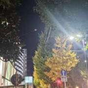 ヒメ日記 2025/12/10 18:18 投稿 うた 柏人妻花壇