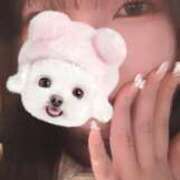 ヒメ日記 2025/12/29 01:46 投稿 神宮寺もか 制服×コスプレ アオハルスイッチ